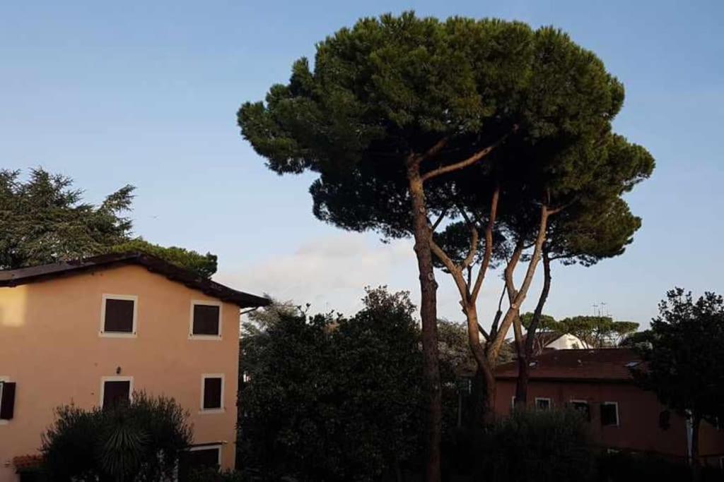 Aurelia - Apartment Begonia Rome Luaran gambar